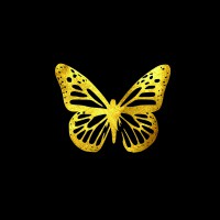 LEUCOME BUTTERFLY